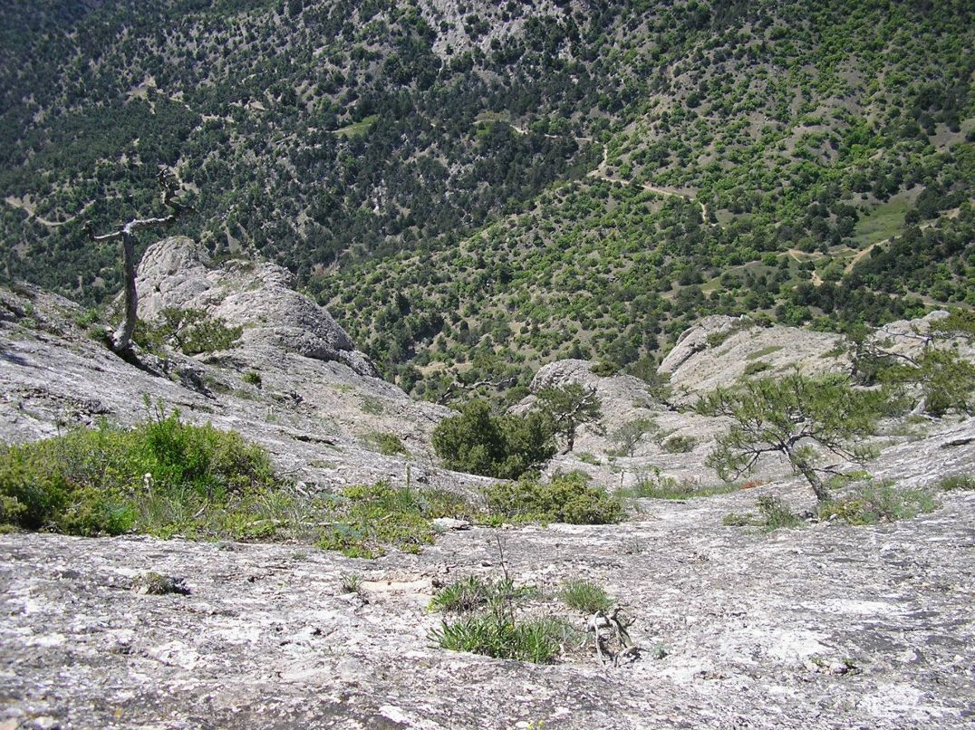 Иван Лялько | 