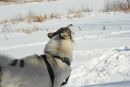 №17 Лизуня Ермолаева : профиль, фото, статус - ВКонтакте №17 Лизуня Ермолаева : профиль, фото, статус - ВКонтакте