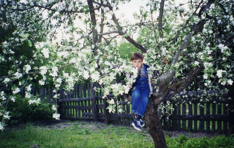 Дмитрий Семенец | Брянск