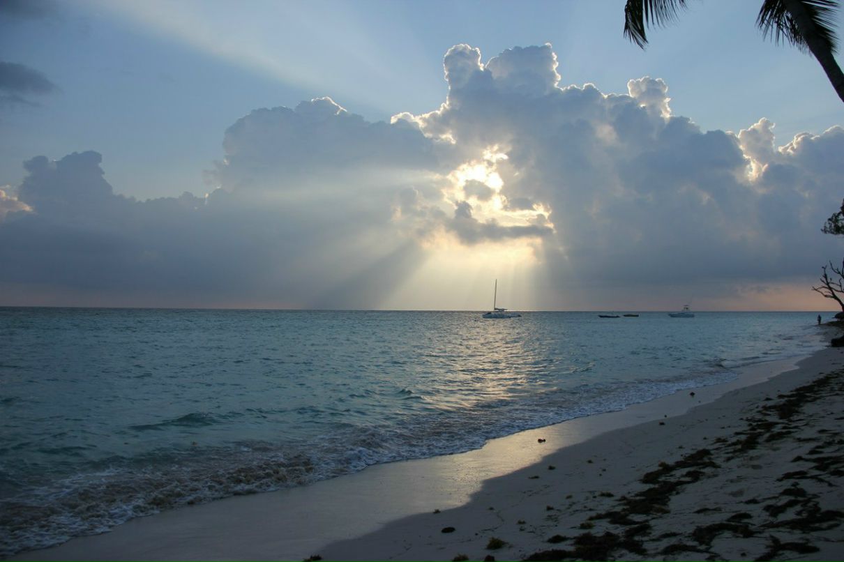 Алекс Ровер | Москва