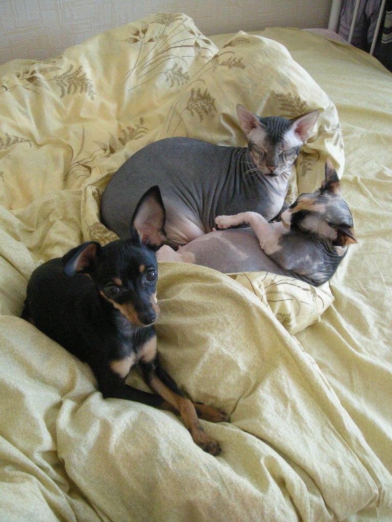 Кристина Малова <==КоIIIaK==> | Москва