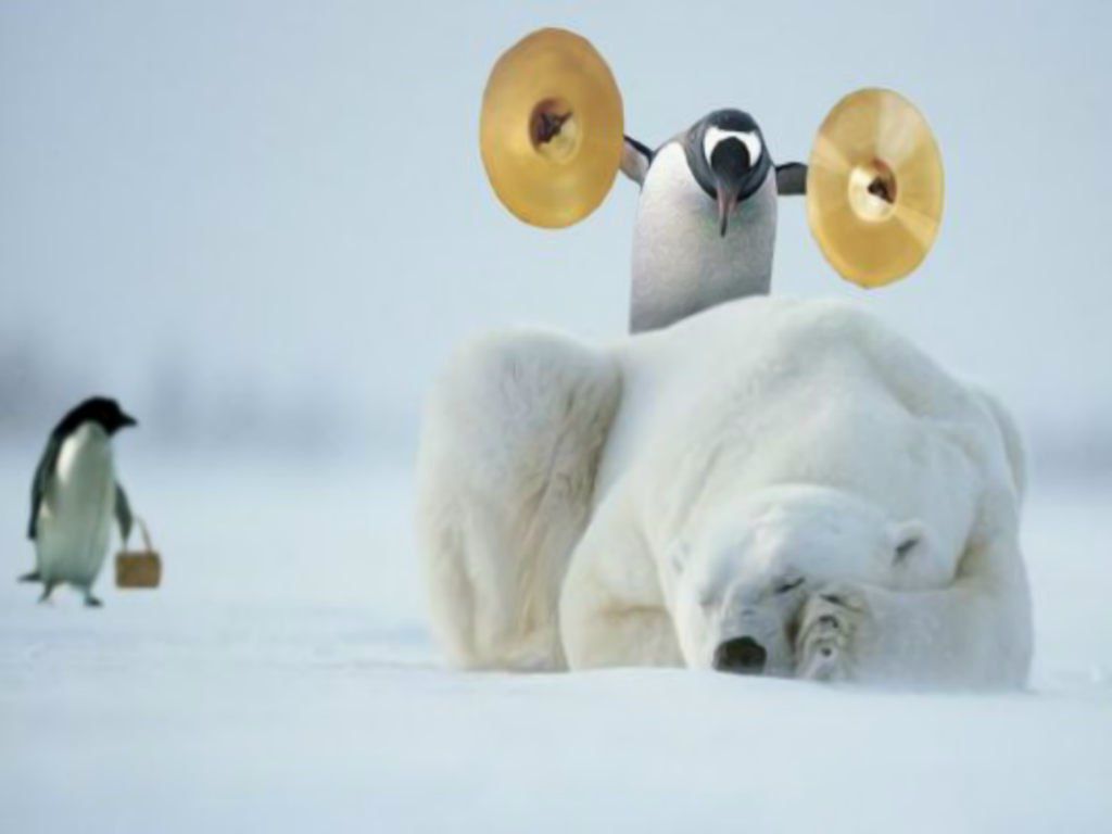 Анатолій Величко | 