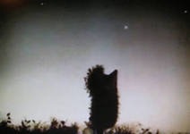 №44, Ирина Девяткина (Думалова), Москва №44, Ирина Девяткина (Думалова), Москва