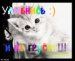 Віталій Немировський фотография #24