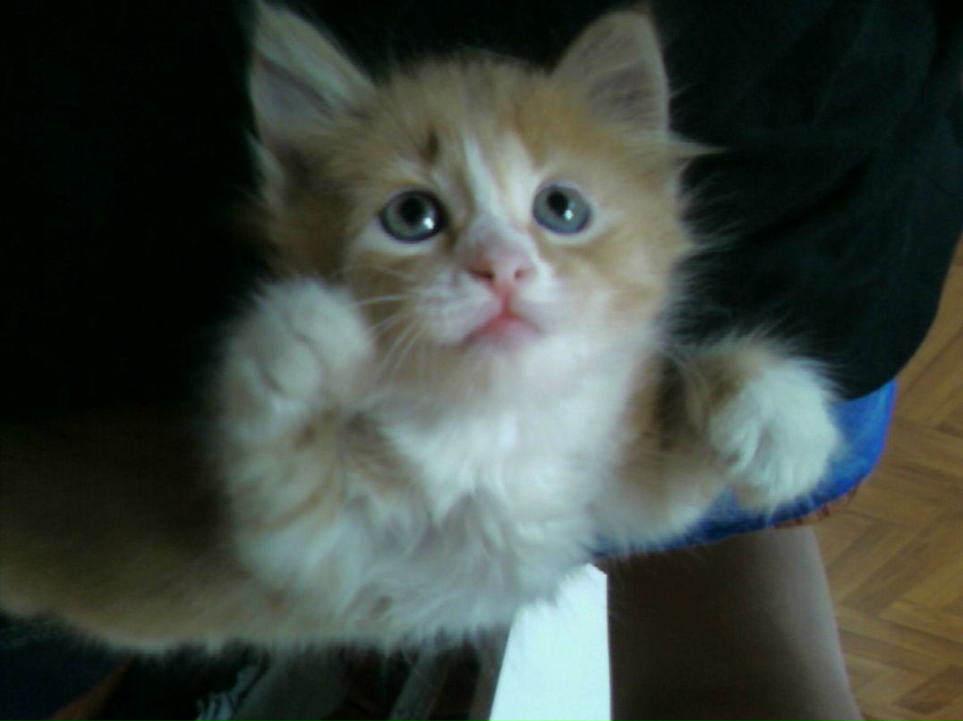 Татьяна Земцова | Новосибирск