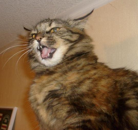 Юлия Абрамчук | Минск