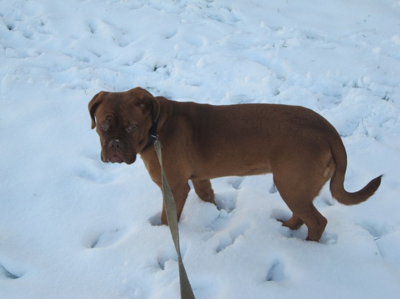 Екатерина Иванова | Санкт-Петербург