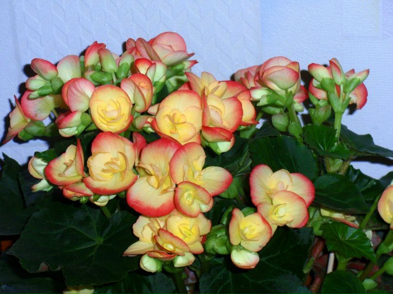 Сергей Кравченко | 