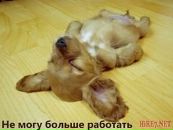 Фотография Анастасия Дёрина