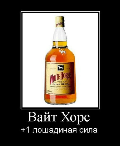 №73, Александр Кондратьев, 36 лет, Осташков №73, Александр Кондратьев, 36 лет, Осташков