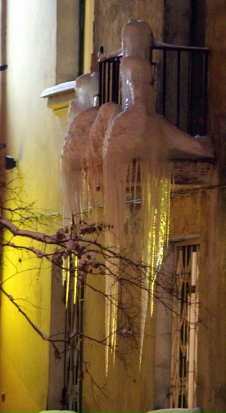 №12, Леонард Кангур №12, Леонард Кангур