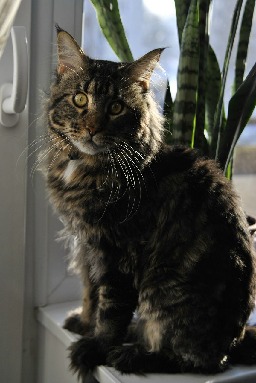 Евгения Седлецкая ❤ i'm ℓo√ﻉ❤ | Калининград