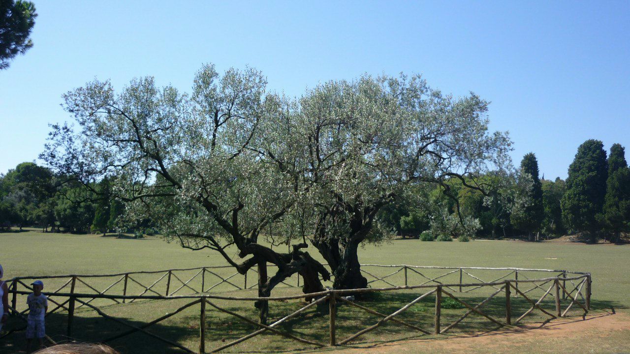 Юрий Юша | Ростов-на-Дону