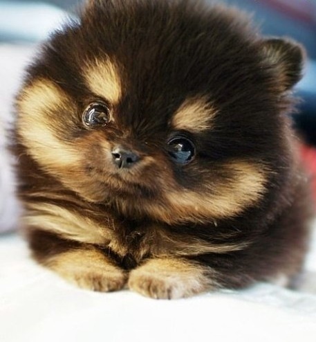 №39, Anita Terehovich, Москва №39, Anita Terehovich, Москва