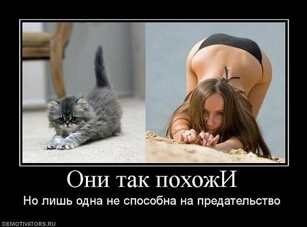 Артур Кондратенко | 