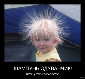 №26, Владимир Ходячих, 29 лет, Мелитополь №26, Владимир Ходячих, 29 лет, Мелитополь