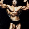 Аватар: Arnold Schwarzenegger