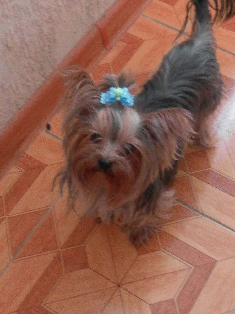 Ирина Болдырева | Мытищи