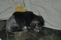 №16 Танюшка Бакотова 10.03.1991: профиль, фото, статус - ВКонтакте