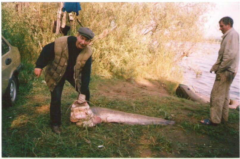 Евгений Спирин DED | Казань