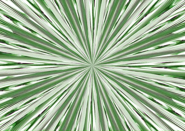 №5, Сергей Кокотеев, 44 года №5, Сергей Кокотеев, 44 года