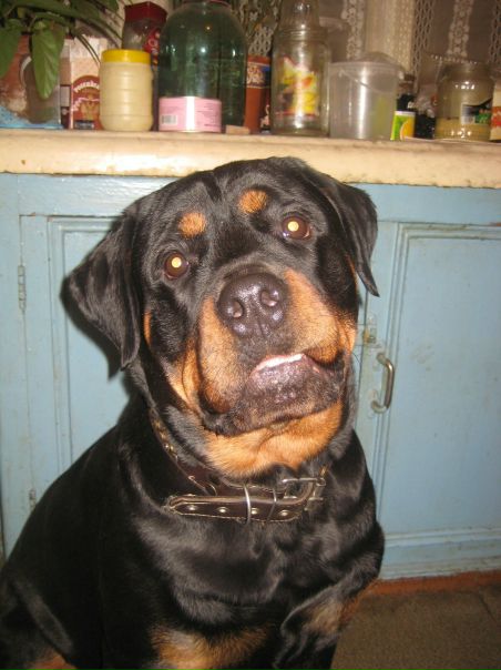 №189, Алексей Парамонов, Wuhan, Китай №189, Алексей Парамонов, Wuhan, Китай