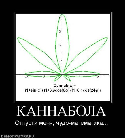 №103, Ксения Елеферова, Дубна №103, Ксения Елеферова, Дубна