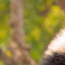 №44, Алина Деревянко, Харьков №44, Алина Деревянко, Харьков