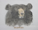 №31 Станислав Витвицкий