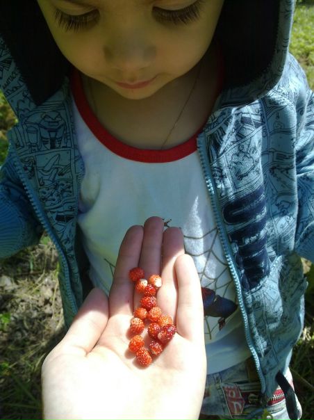 №22, Инга Муриева, Москва №22, Инга Муриева, Москва