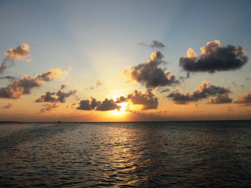 Золтан Бёгре | Москва