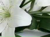 Олеся Валишина | Стерлитамак