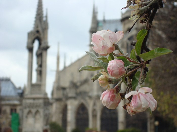 Оля Чалая | Днепр (Днепропетровск)