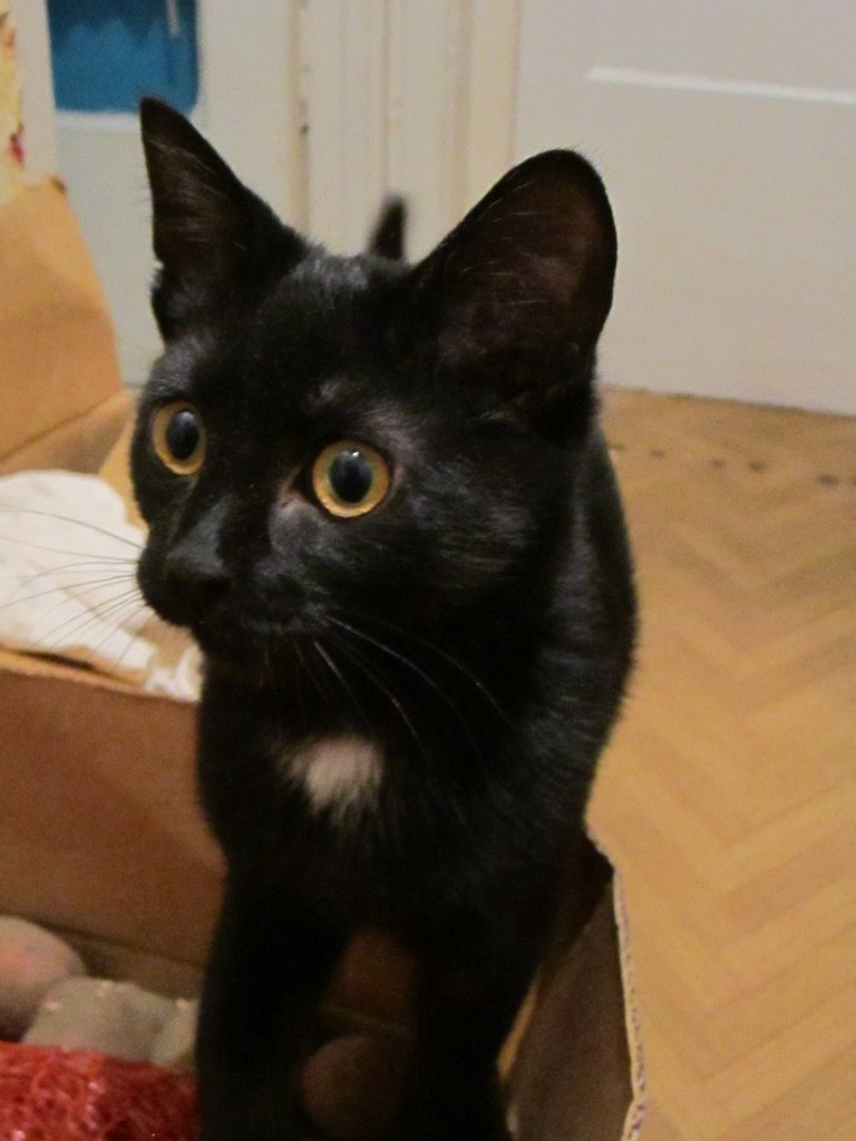 Наташа Шишова | 