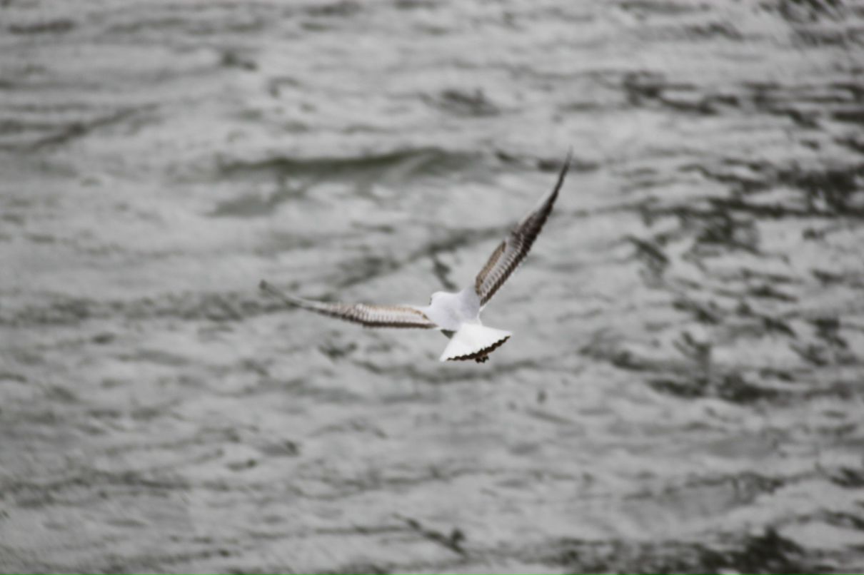 Евгений Нарушевич | Минск