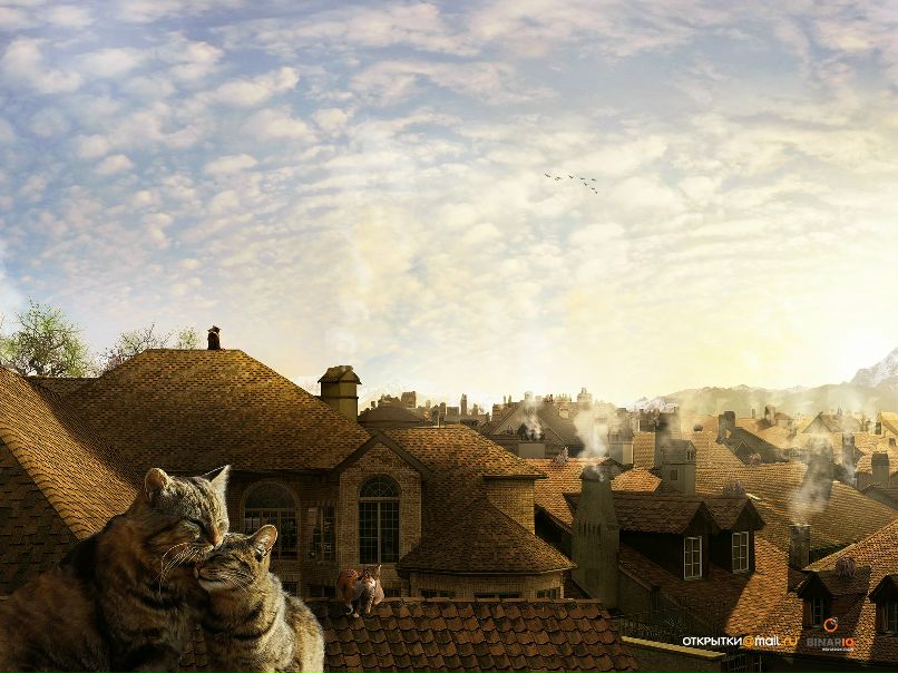 Ксюша Гурская | Санкт-Петербург