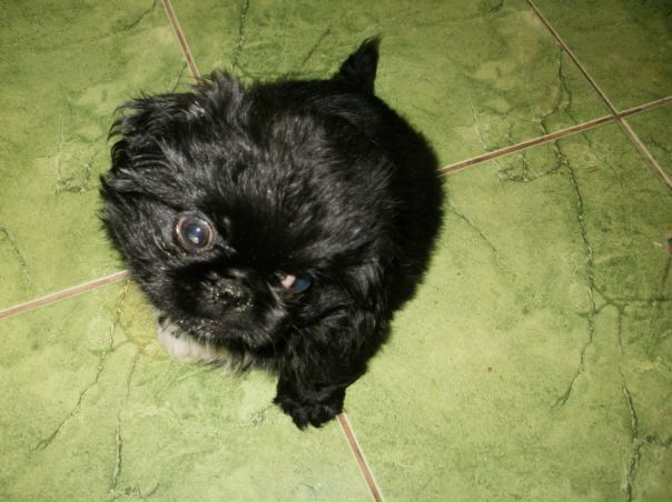 №153, Ирусик Щербинина-Аблова, 36 лет, Тамбов №153, Ирусик Щербинина-Аблова, 36 лет, Тамбов