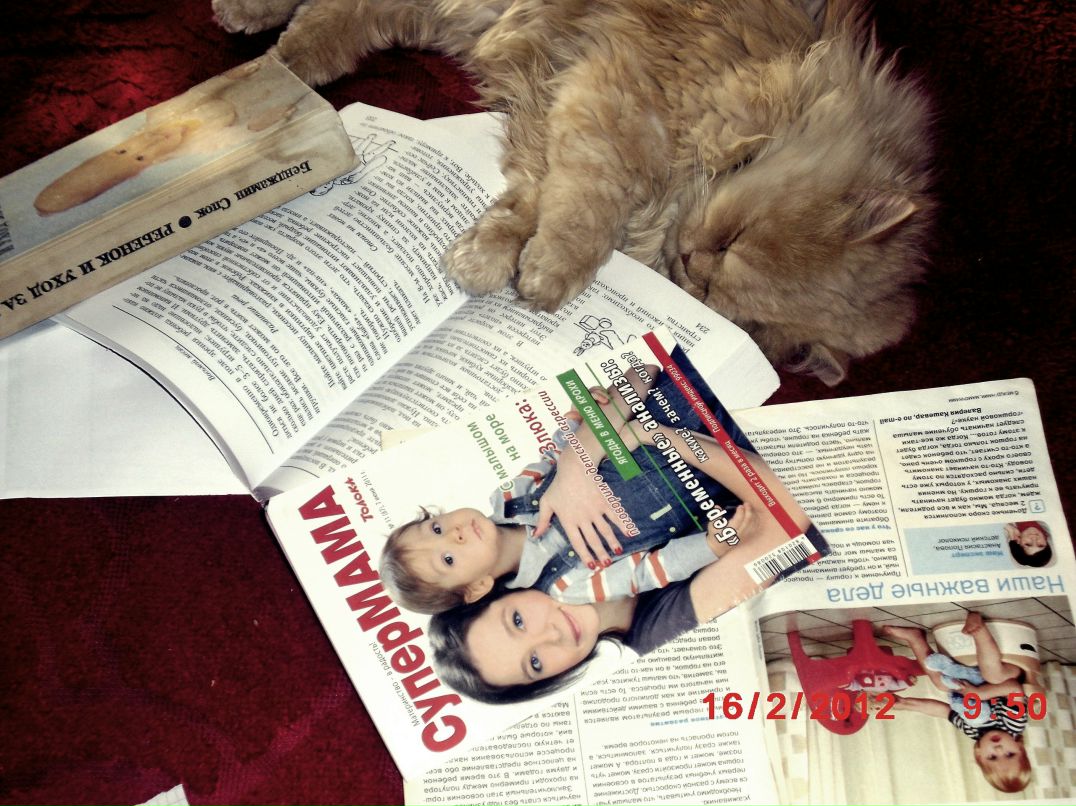 Аня Меренгер | Хмельницкий