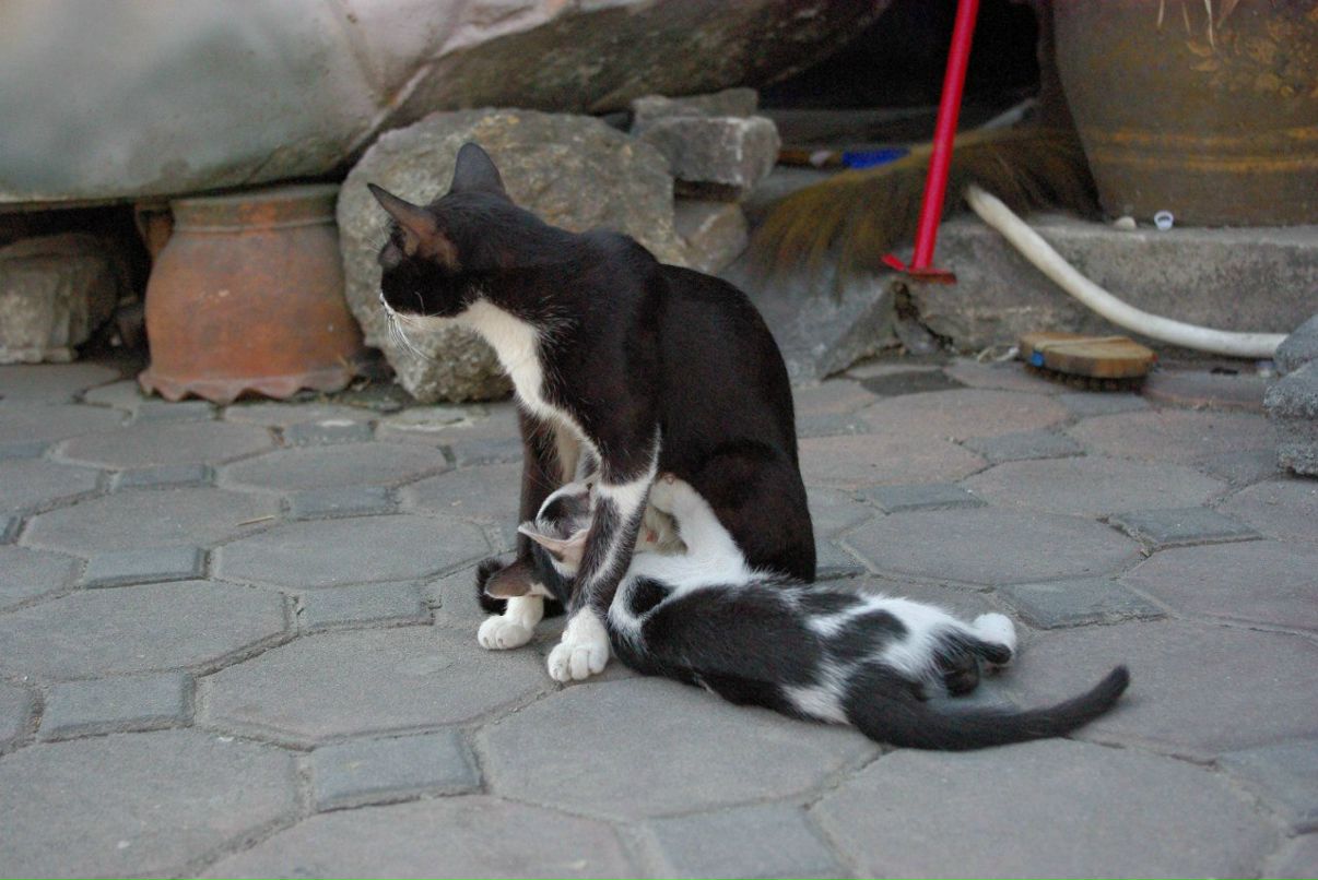 Дмитрий Попов-Зенин | Москва