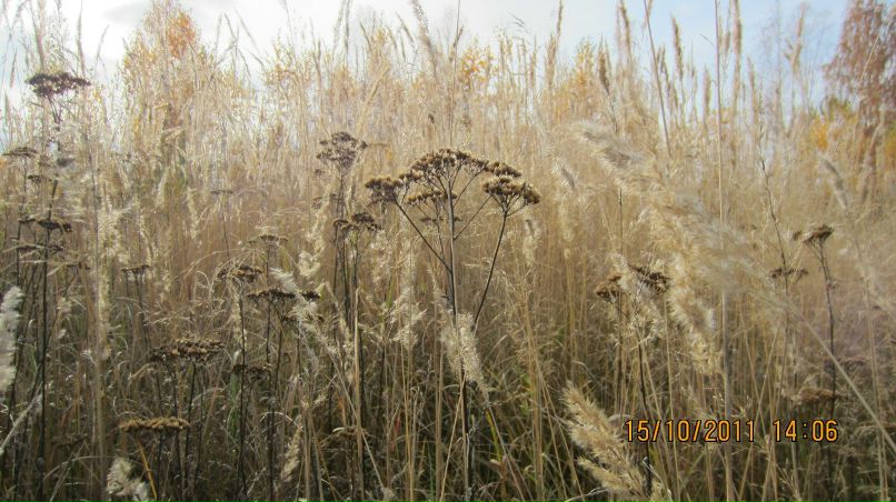 Натали Калинина | Челябинск