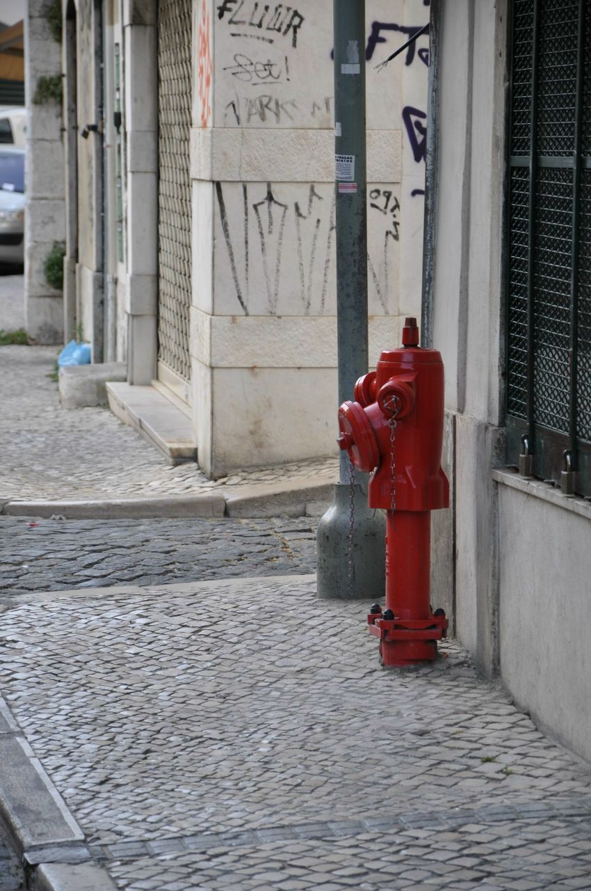 Юрий Зуев | Санкт-Петербург