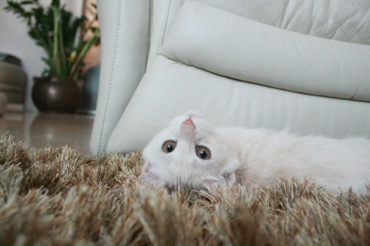 Tanya Щеголихина | Москва