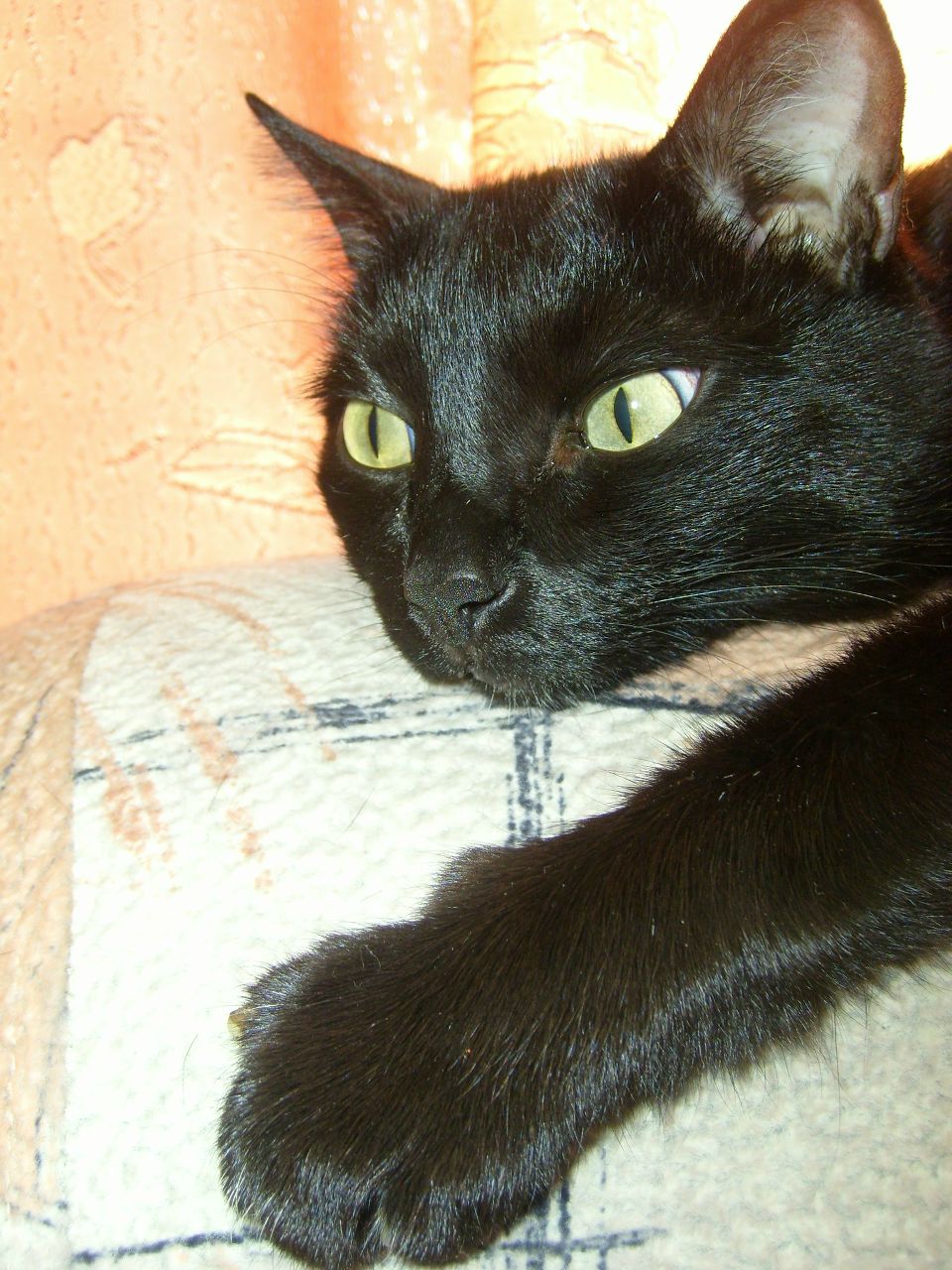 Юлия Лохматова | Кольцово