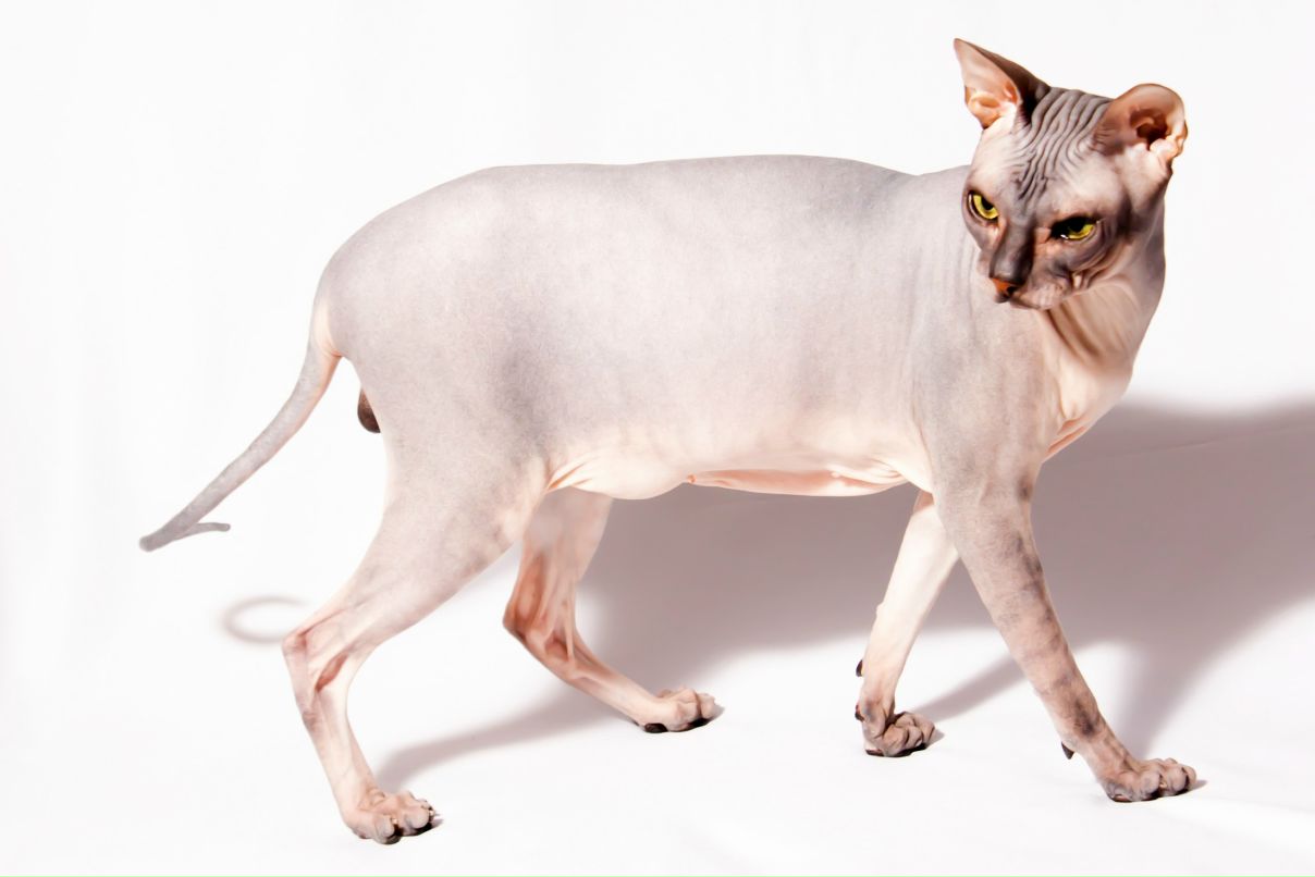 Екатерина Трофимова | Копейск