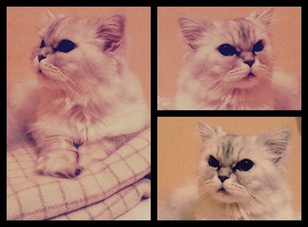 Ольга Чернятина | Москва