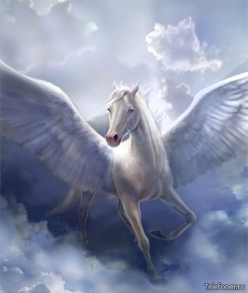 Игорь Gymn | Реутов