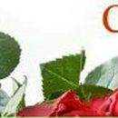 Татьяна Тимченко | Харьков