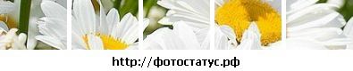Фотография Сергей Бул