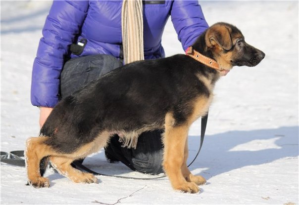 №112, Vera Mavrina, Тобольск №112, Vera Mavrina, Тобольск