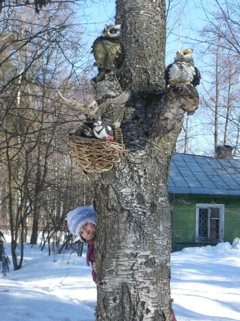 Светлана Николаева | Санкт-Петербург